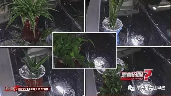 裝修后除甲醛_甲醛的來(lái)源怎么除_南寧除新房裝修除污染